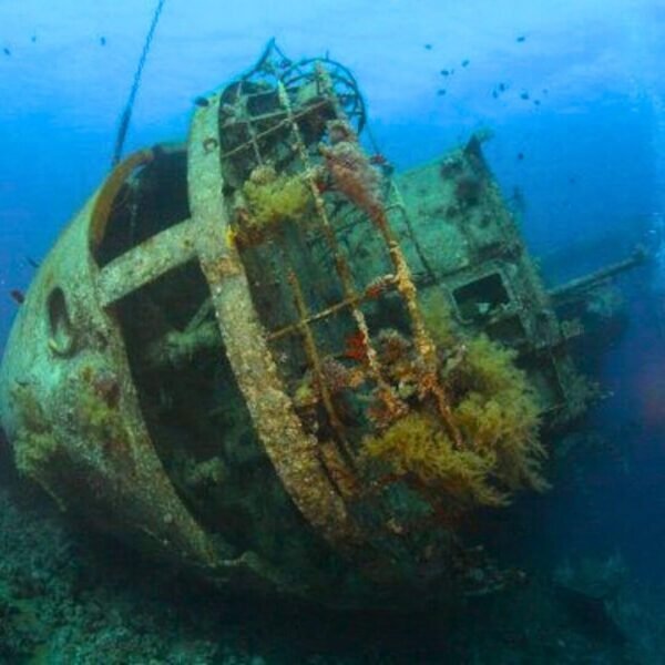 REEFS AND WRECKS TOUR
